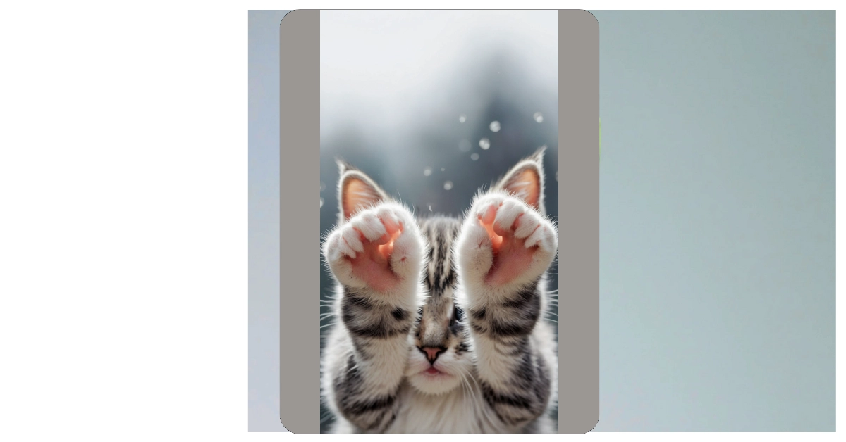 Whiskers and Wallpapers: 11 Cute Kitten Ideas to Brighten Your Day