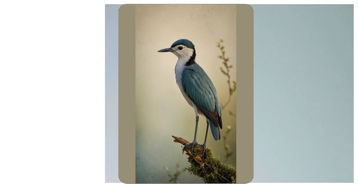 Feathered Friends: 13 Bird Wallpaper Ideas to Spruce Up Your Space