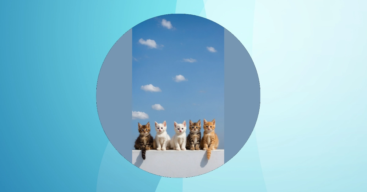 Pawsitively Perfect: 11 Aesthetic Kitten Wallpapers for Every Mood